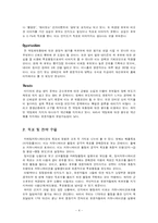 [정치커뮤니케이션] 군소후보 선거전략-4
