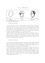 [청소년문화] 사이버문화 양면성-5