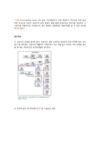 [언론저널리즘] 삼성 에버랜드 전환사채 보도의 프레임 분석-3