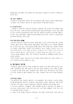 싸이월드 문제점과 미래방향-17