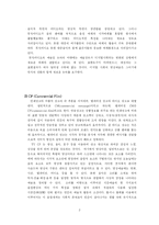 [유럽영상문화] 비디오 클립과 이미지의 결합, 그 상호매체성-3