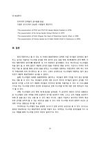 이스라엘 군대 레포트-13