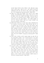 [정치] 국가경쟁력 요인 연구분석-8