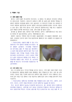 직물신소재개발정보-6