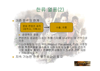 [관광] 태왕사신기와 한류-7