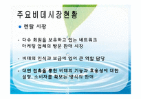[마케팅] 룰루비데의 현황과 전망-19