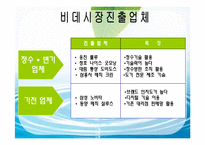 [마케팅] 룰루비데의 현황과 전망-20