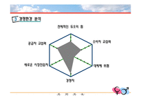 [인터넷비즈니스모델] 인터넷 기업의 사업 모형 분석 -결혼정보업체 듀오의 사례를 중심으로-13