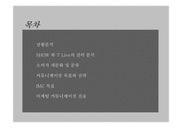 [IMC기획서] LG텔레콤 쇼 SHOW 재도약을 위한 IMC기획서-2