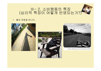 [소비자심리학] 나홀로족 소비성향-17