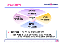 베스킨라빈스 2008년 마케팅전략-8
