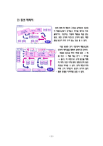 [마케팅] 베스킨라빈스31 마케팅전략-19