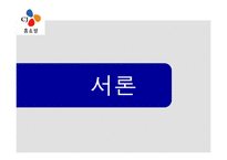 [재무컨설팅] CJ 홈쇼핑 분석-3