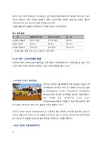 [마케팅 조사론, 스포츠마케팅] 소니 월드컵 FIFA 공식 스폰서십-8