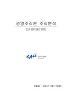 [경영조직론] CJ 엔터테인먼트 조직분석-1
