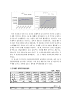 [국제경영] 하이마트와 전자랜드-17