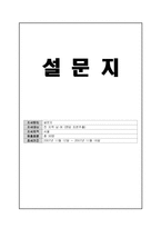[마케팅 조사론] 롯데월드 이용 만족도에 관한 마케팅 조사론-18