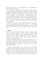 [광고기획서] 나이키 NIKE 광고기획서-4