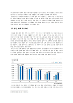 [다국적기업론] 현대 자동차 인도 시장 진출-13