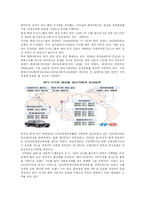 [다국적기업론] 현대 자동차 인도 시장 진출-14