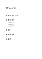 [마케팅] MS Office MS워드 마케팅전략-2