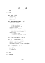 [운영관리] 국내 중소기업의 ERP도입과 실행-2