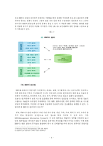 [운영관리] 국내 중소기업의 ERP도입과 실행-4