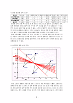 [마케팅조사] 미샤 부진원인과 마케팅전략-11