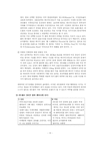 [소비자행동] 레드불(Red Bull) 브랜드 분석-13
