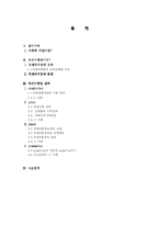 다국적 기업의 국제마케팅 전략-2