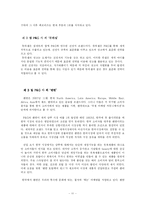 [마케팅] 다국적기업의 성공적인 현지화 전략-11