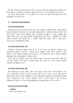 [경영조직론] 국제앰네스티 한국지부의 조직구조-4
