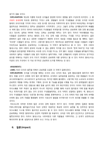 [경영조직론] 국제앰네스티 한국지부의 조직구조-16