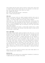[사회복지발달사] 사회복지발달사 요약정리(8장-10장)-7