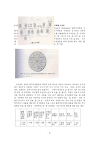 [사회복지] 가족사정(Family Assessment)과 가족사정의 사례-8