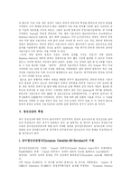 [인터넷중독] 인터넷 중독의 원인, 진단, 측정, 과정과 실태 및 예방 분석-10