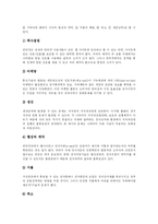 [전자상거래(EC)] 전자상거래(EC)의 특징과 문제점 및 향후 과제(사례 중심)-5