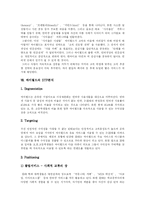 [싸이월드] 싸이월드의 인기요인과 마케팅 및 STP 분석-6