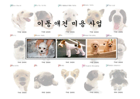 [사업계획서] 이동 애견 미용 사업-1