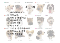 [사업계획서] 이동 애견 미용 사업-2