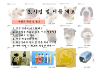 [사업계획서] 이동 애견 미용 사업-8