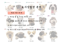 [사업계획서] 이동 애견 미용 사업-11