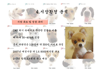 [사업계획서] 이동 애견 미용 사업-12