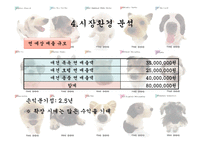 [사업계획서] 이동 애견 미용 사업-15