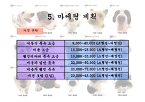 [사업계획서] 이동 애견 미용 사업-17