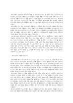 [정보사회학] 정보사회와 문화-6