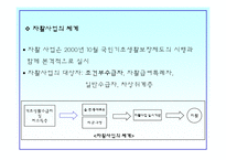 [사회복지] 지역사회의 자활-4