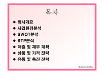 [관광사업경영론] 솔로들을 위한 테마여행사 사업계획서-3