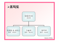 [관광사업경영론] 솔로들을 위한 테마여행사 사업계획서-5