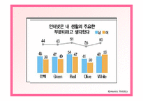 [관광사업경영론] 솔로들을 위한 테마여행사 사업계획서-16
